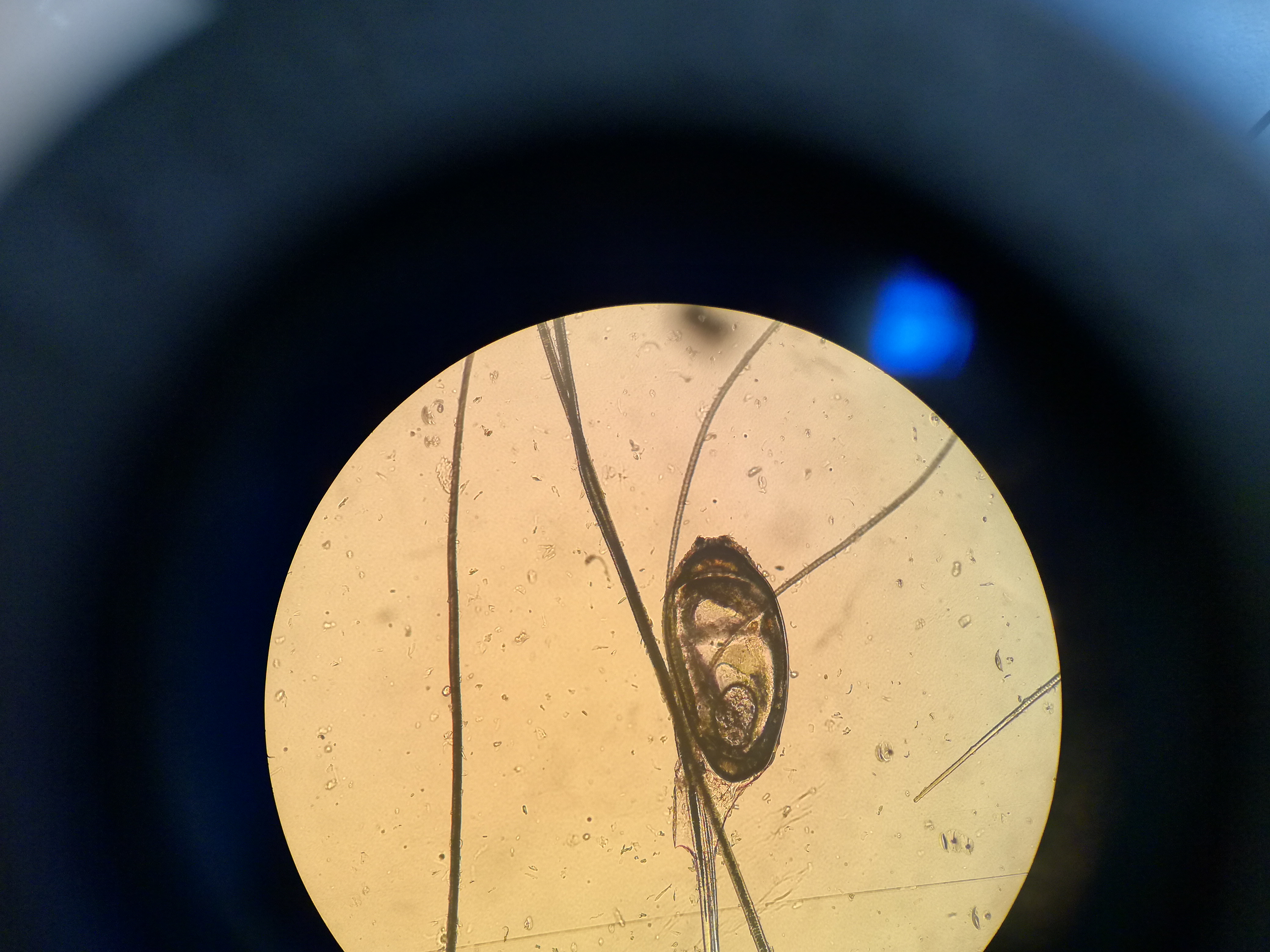 Ambulatorio San Rocco