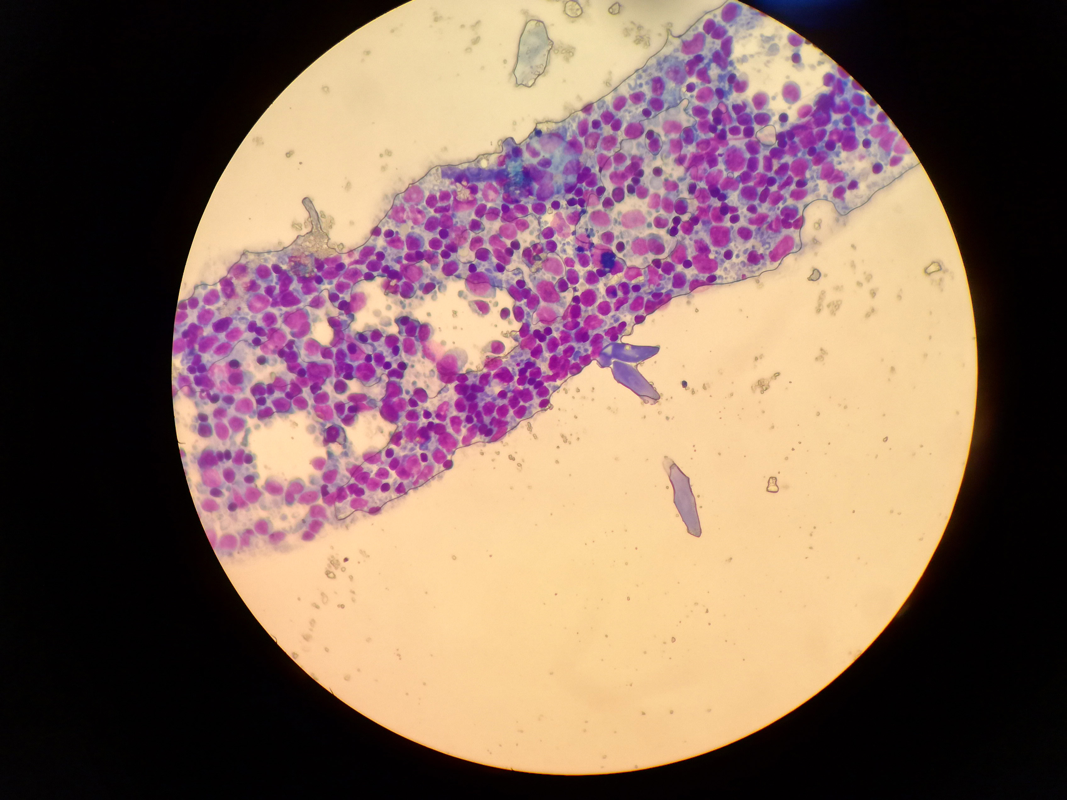 Ambulatorio San Rocco