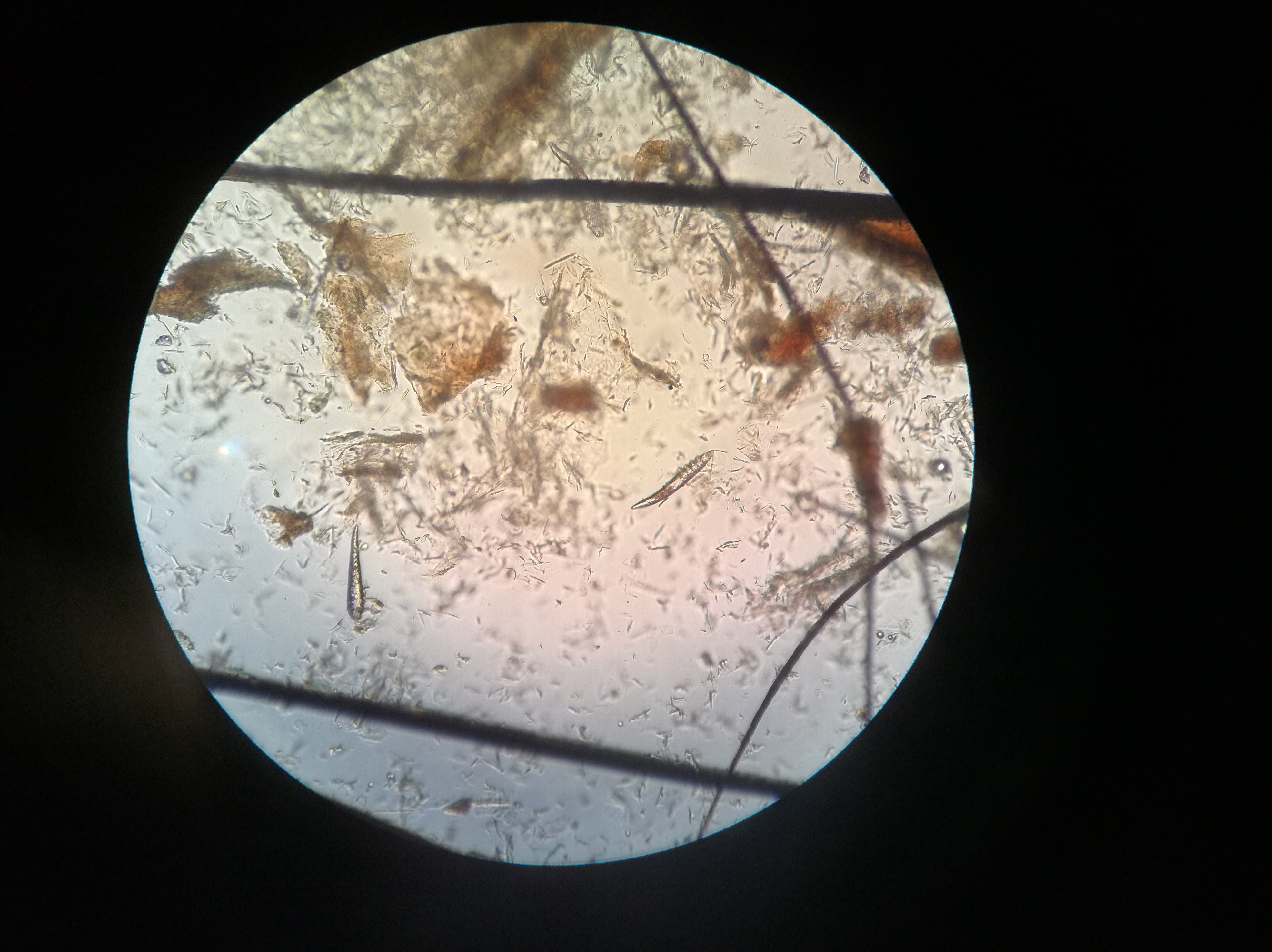 Ambulatorio San Rocco