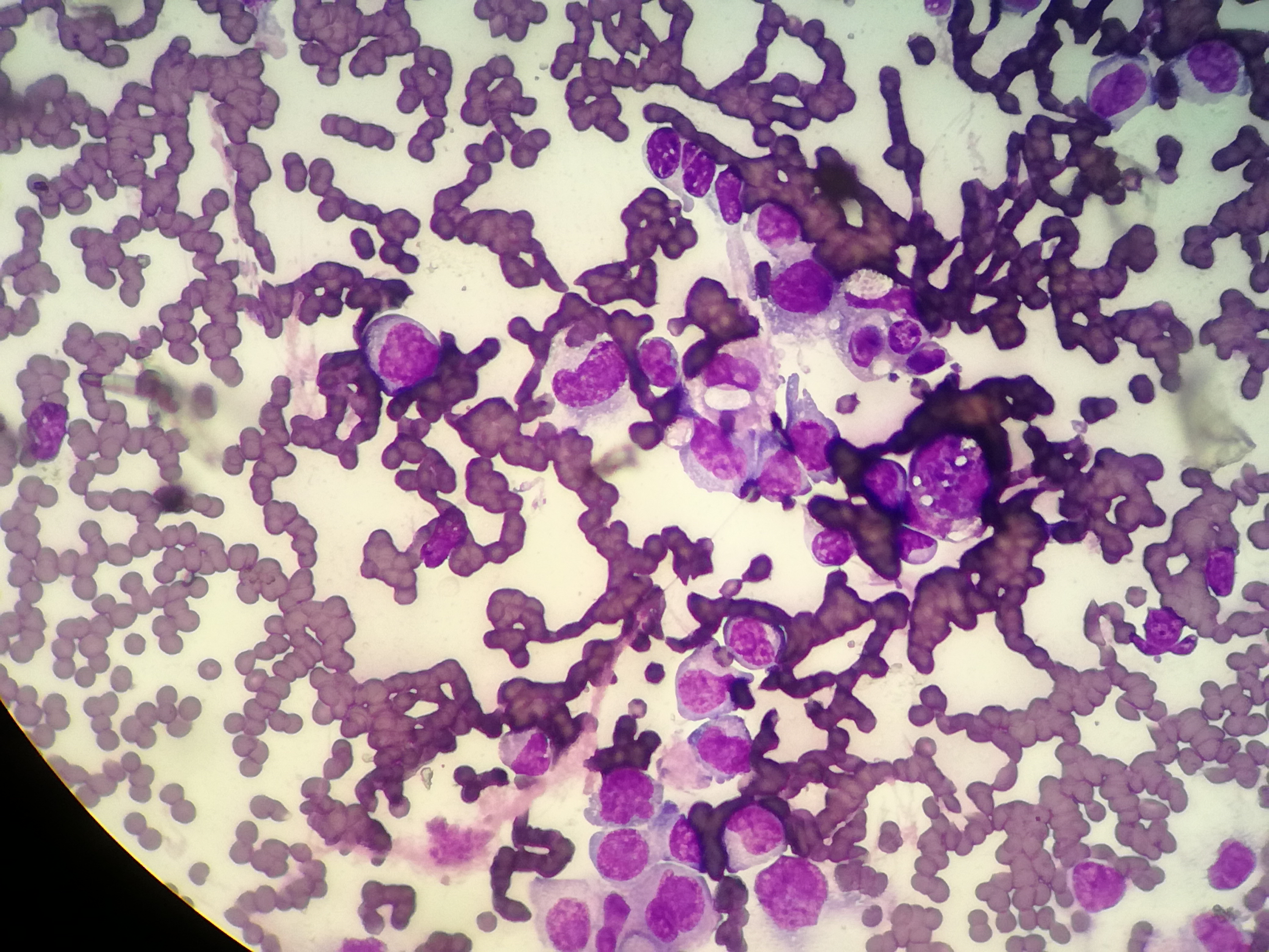 Ambulatorio San Rocco