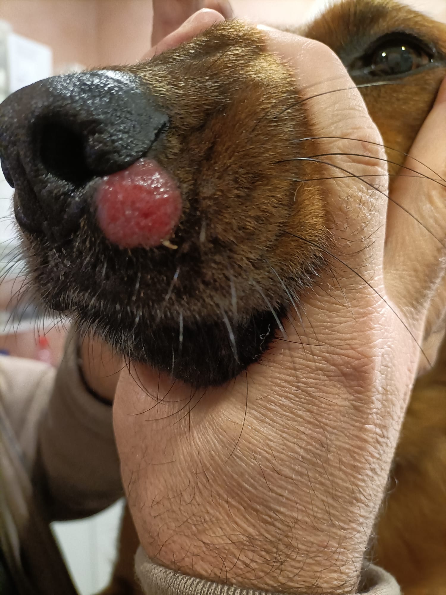 Ambulatorio San Rocco