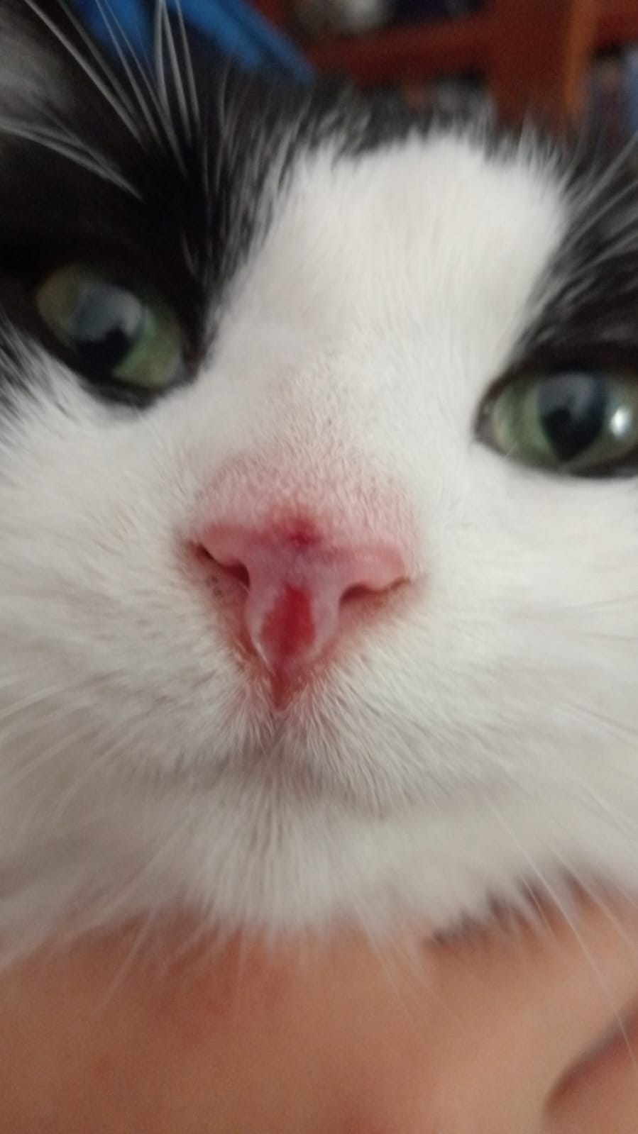 Ambulatorio San Rocco