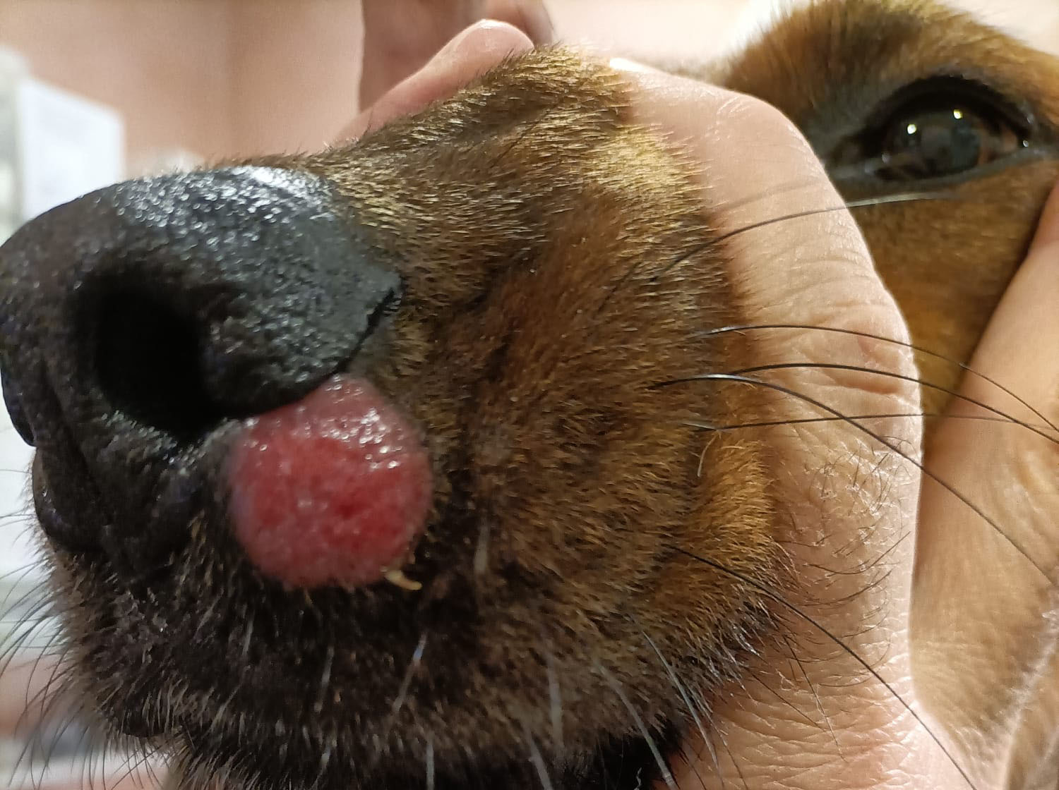 Ambulatorio San Rocco